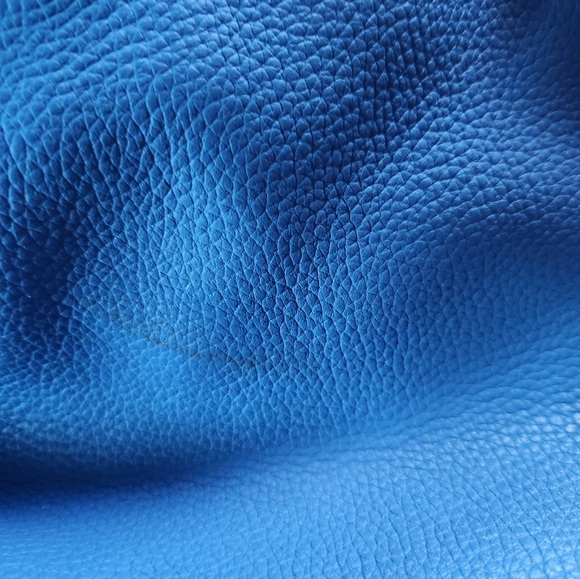 Dooney & Bourke Blue Hobo Bag with Silver Accents - Picture 4 of 16